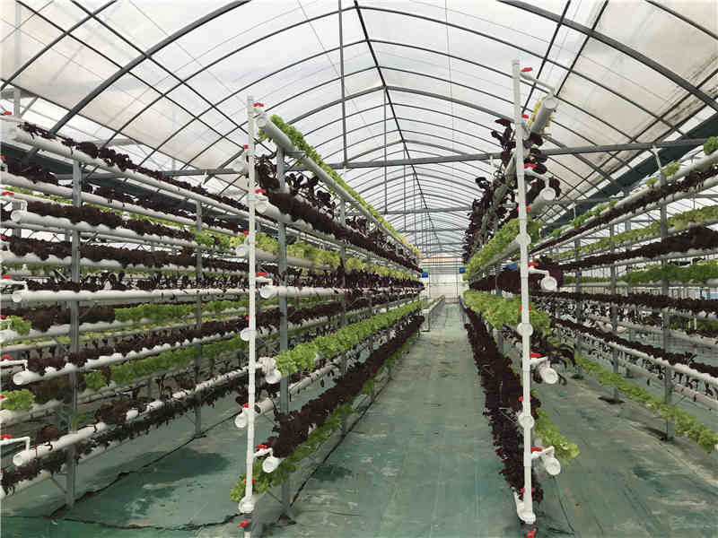 立体麻豆国产色欲色欲色欲WWW